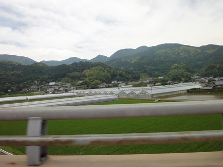 道中の景色.jpg
