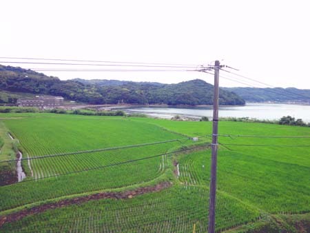 棚田と海.jpg